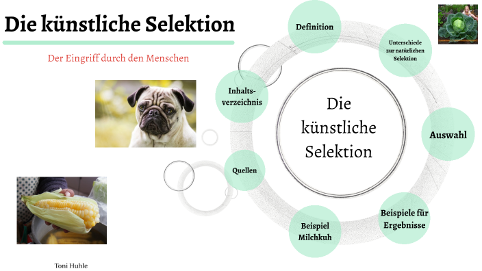 Prsentation knstliche Selektion by Willy Roseneit on Prezi