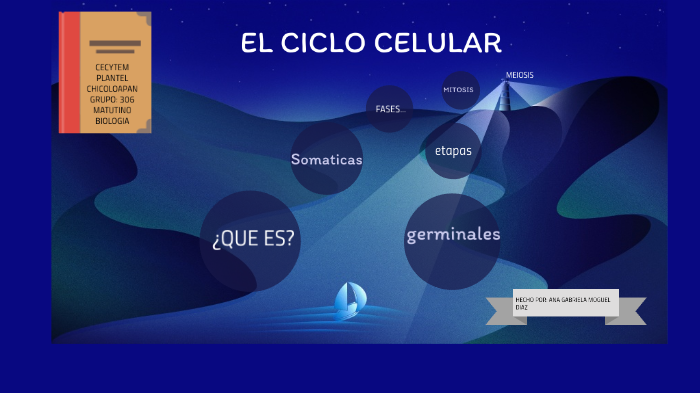 EL CICLO CELULAR by ana gabriela on Prezi