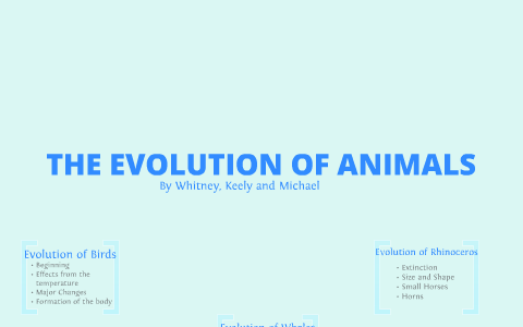 Evolution of Animals by Keely Grosvenor on Prezi