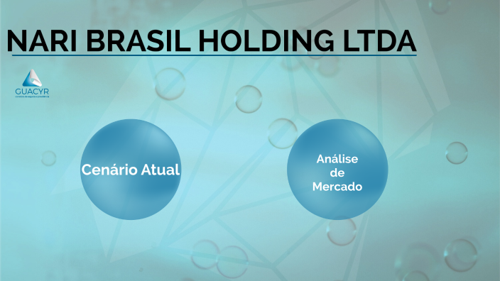Nari Brasil Holding Ltda
