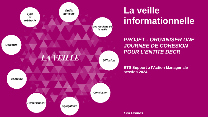 La Veille Informationnelle Projet - ORGANISER UNE JOURNEE DE COHESION ...