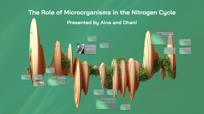 Understanding the Nitrogen Cycle by aina zulaikha on Prezi