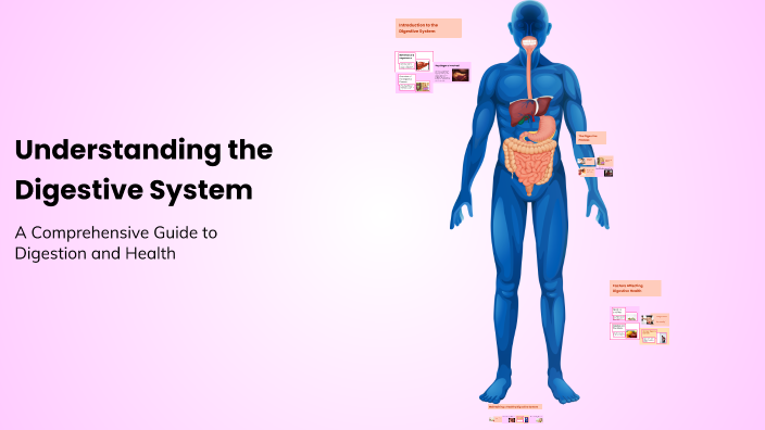 Understanding the Digestive System by Eliyas Kitchen on Prezi