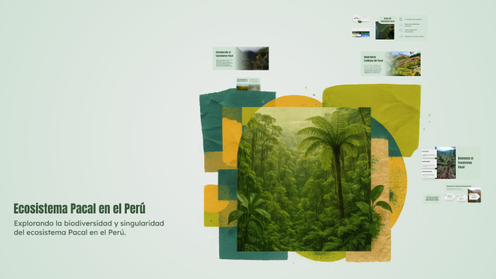Ecosistema Pacal en el Perú by soy un faro on Prezi
