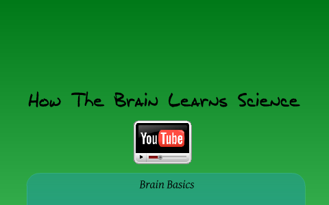 How The Brain Learns Science by Kristen Casey on Prezi