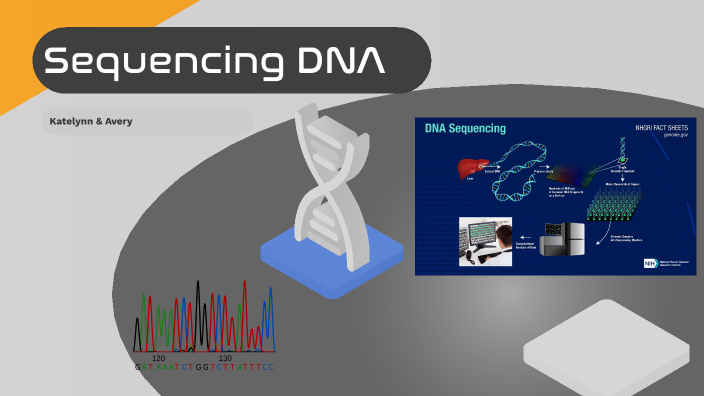 Sequencing DNA by Katelynn Charlton on Prezi