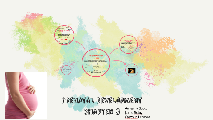 Prenatal Development by arneshia sccott on Prezi