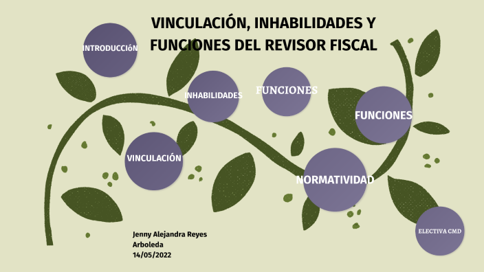 Revisoria Fiscal By Alejandra Reyes On Prezi