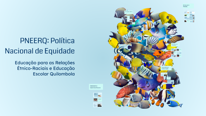 PNEERQ: Política Nacional de Equidade by INGRID APARECIDA FERNANDES DA ...