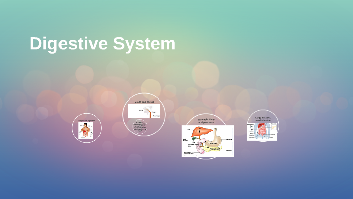 Digestive System by Paul Jefimenko on Prezi