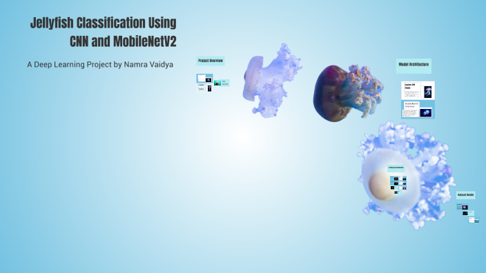 Jellyfish Classification Using CNN and MobileNetV2 by NAMRA V on Prezi