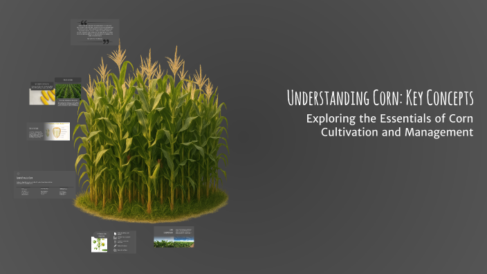 Understanding Corn: Key Concepts by McKenna King on Prezi