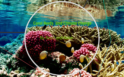 Coral Reefs and Climate Change by Reice Mcculloch on Prezi