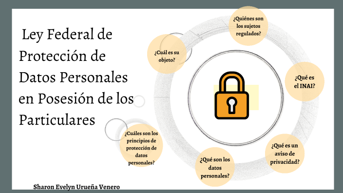 Ley Federal De Protección De Datos Personales En Posesión De Los ...