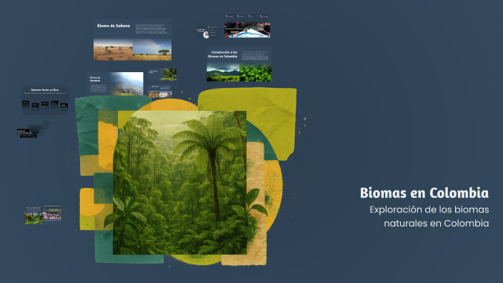 Biomas en Colombia by MARLON STEEWART BUITRAGO ROJAS on Prezi