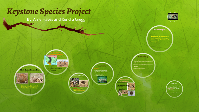 Keystone Species  Project Regeneration