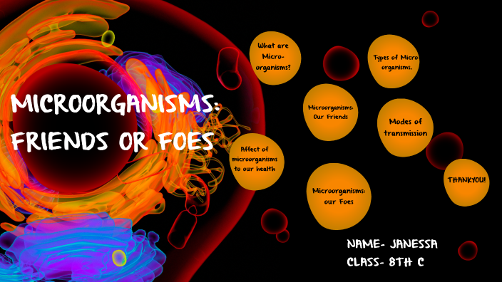 write an essay on microorganisms as friends or foes