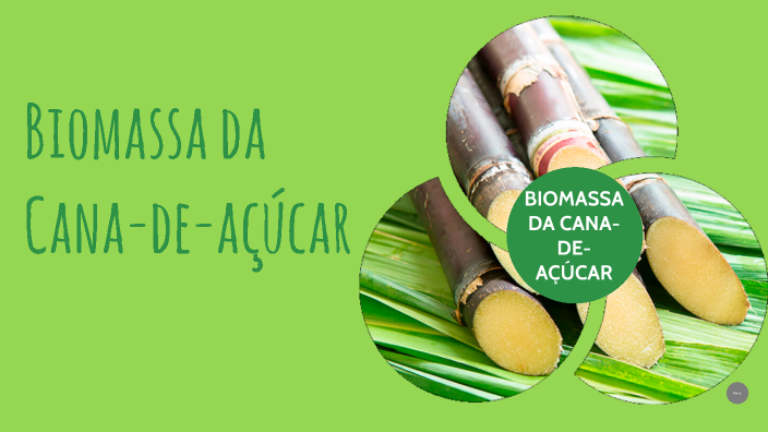 Biomassa Da Cana De Açúcar By Anna Clara Teodoro On Prezi