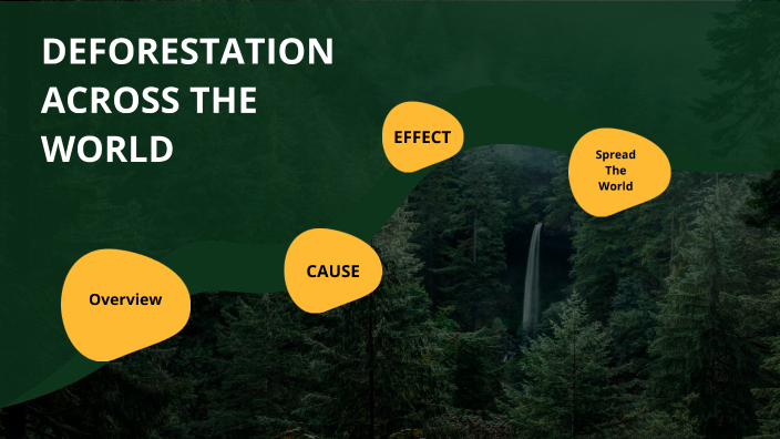 Deforestation by Christopher Rochefort on Prezi