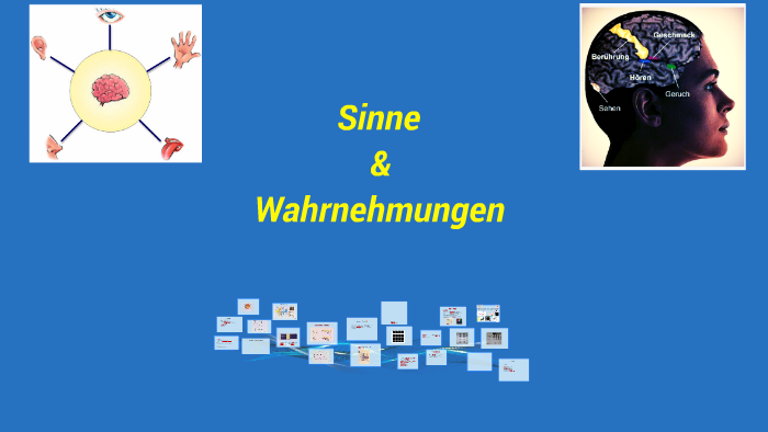 Sinne By Anita C On Prezi