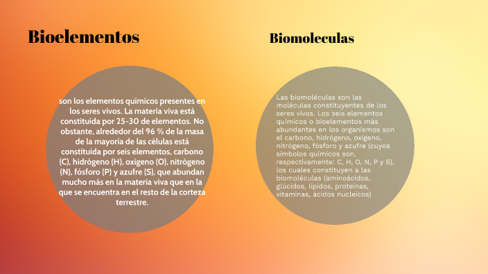 Bioelementos by kaviani castillo on Prezi