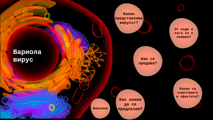 Варицелла зостер вирус фото