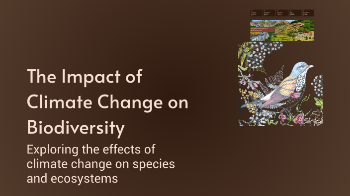 The Impact of Climate Change on Biodiversity by Aidan Vosniak on Prezi