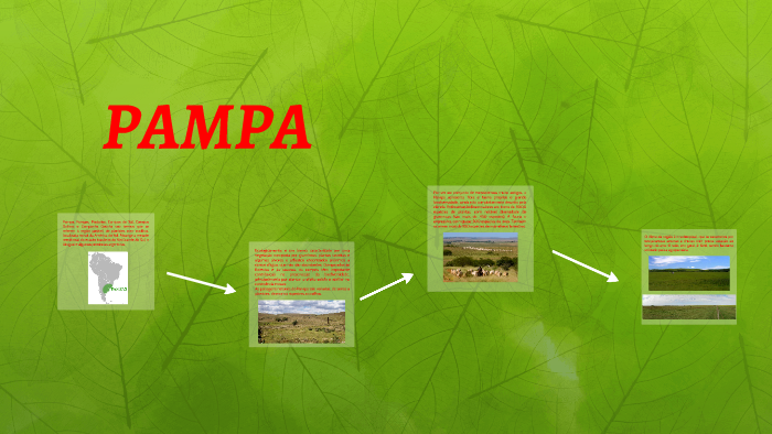 Bioma Pampa by Stefano Fagundes Petroli on Prezi