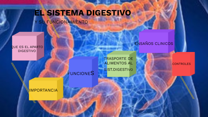 el sistema digestivo by lucero vicky corrales mamani on Prezi