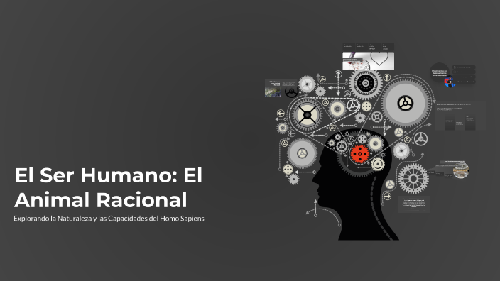 El Ser Humano: El Animal Racional by Maria Genoveva Lanchimba Chicaiza ...