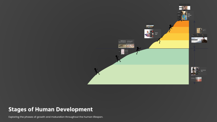 Stages of Human Development by Pălăngeanu Marilena on Prezi