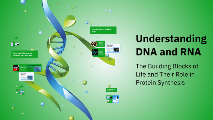 Understanding DNA and RNA by Edina Ofalsa on Prezi