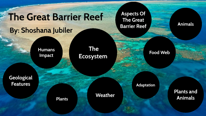 The Great Barrier Reef by shoshana jubiler on Prezi