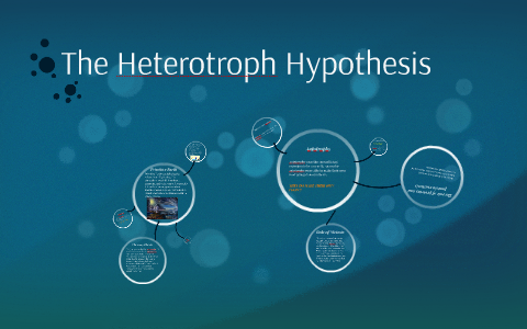 heterotroph hypothesis steps