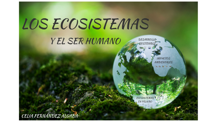 LOS ECOSISTEMAS by celia fernández algaba on Prezi
