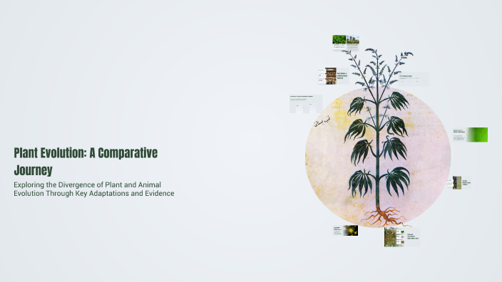 Plant Evolution: A Comparative Journey by lungten tenzang on Prezi