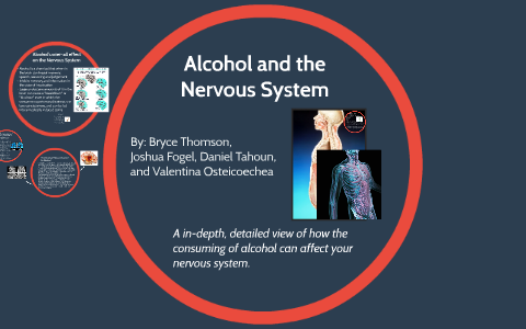 alcohol and nervous system essay
