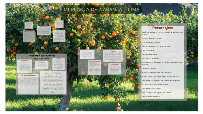 MI PLANTA DE NARANJA - LIMA by Ximena Antonella on Prezi