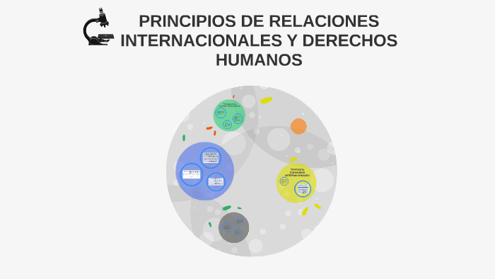 PRINCIPIOS DE RELACIONES INTERNACIONALES Y DERECHOS HUMANOS by davis Franco