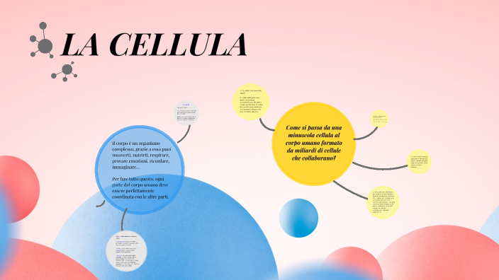 LA CELLULA by Aurora Bressi on Prezi