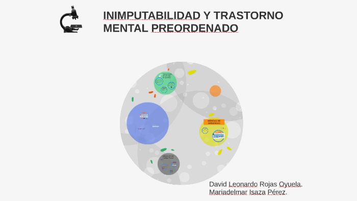 Inimputabilidad Y Trastorno Mental Preordenado By Mariadelmar Isaza 