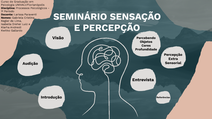 SciELO - Brasil - Interferências na aula: dinâmica e percepção dos