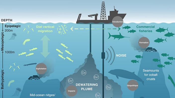 Deep Sea Mining by Clara Descôtes on Prezi