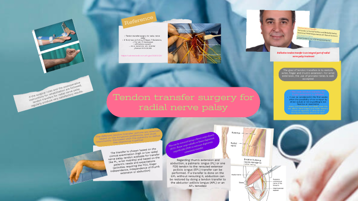 Tendon Transfer Surgery For Radial Nerve Palsy By Mohamad Parsa On Prezi