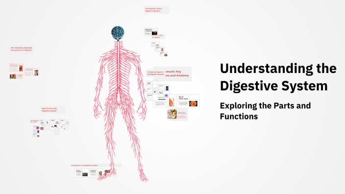 Understanding the Digestive System by Puneet on Prezi
