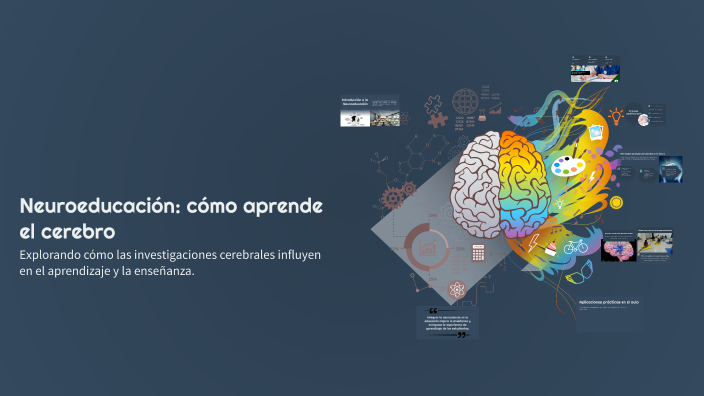 Neuroeducación: cómo aprende el cerebro by Dome R on Prezi