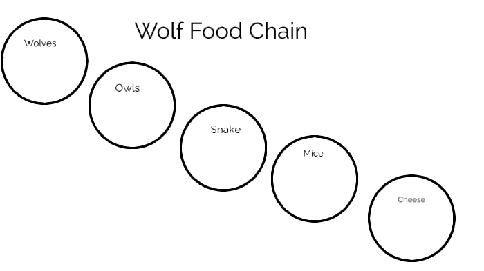 Wolf Food Chain By Sophia Mclaughlin On Prezi Next