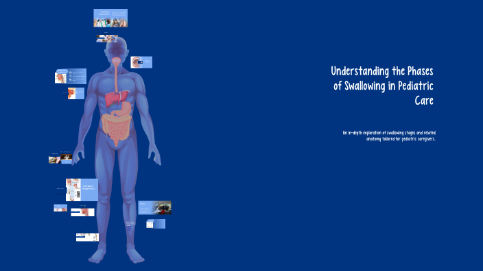 Understanding the Phases of Swallowing in Pediatric Care by Kiana Henry ...
