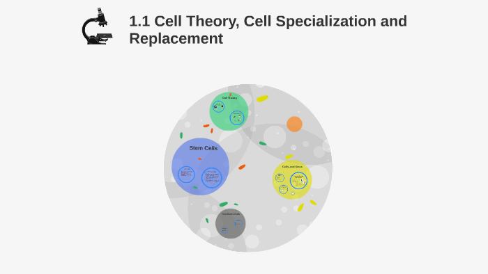 1.1 Cell Theory, Cell Specialization and Replacement by Sara Diaz on Prezi