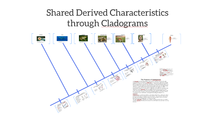 what-is-a-derived-character-slidesharetrick